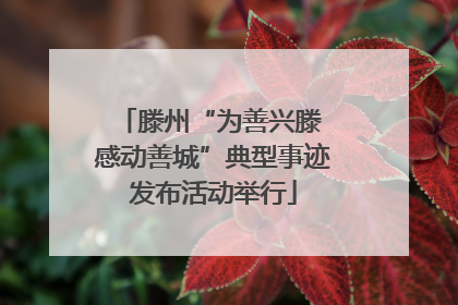 滕州“为善兴滕 感动善城”典型事迹发布活动举行
